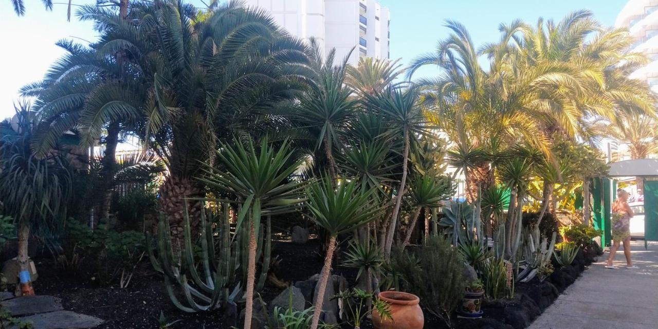 Apartamento Cactus Maspalomas  Exterior foto